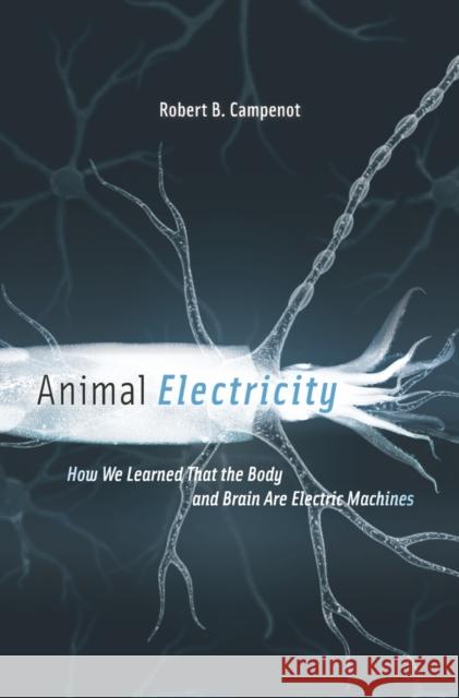 Animal Electricity: How We Learned That the Body and Brain Are Electric Machines Robert B. Campenot 9780674736818 Harvard University Press