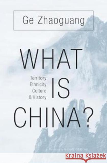 What Is China?: Territory, Ethnicity, Culture, and History Zhaoguang Ge Michael Gibbs Hill 9780674737143