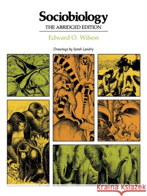 Sociobiology: The Abridged Edition Wilson, Edward O. 9780674816244 Belknap Press