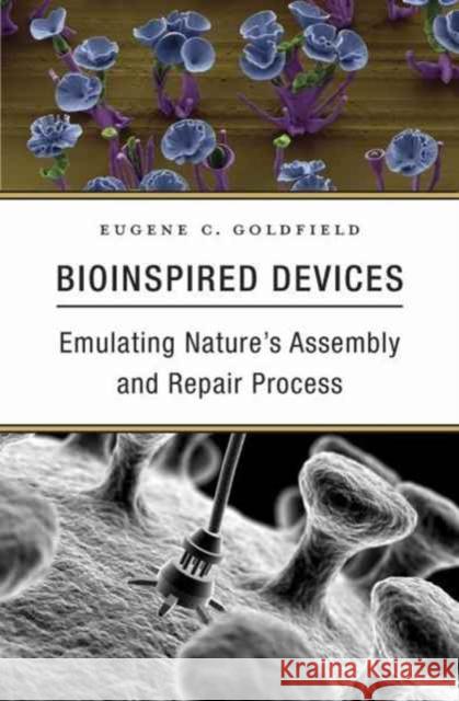 Bioinspired Devices: Emulating Nature's Assembly and Repair Process Goldfield, Eugene C. 9780674967946