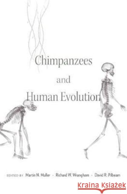 Chimpanzees and Human Evolution Muller, Martin N.; Wrangham, Richard W.; Pilbeam, David R. 9780674967953