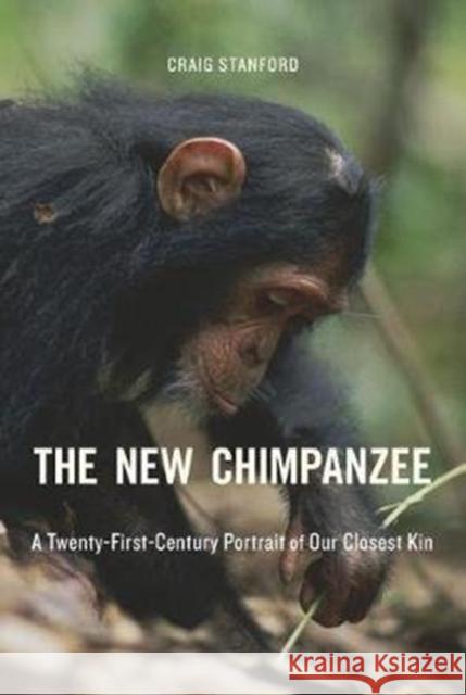 The New Chimpanzee: A Twenty-First-Century Portrait of Our Closest Kin Stanford, Craig 9780674977112 Harvard University Press