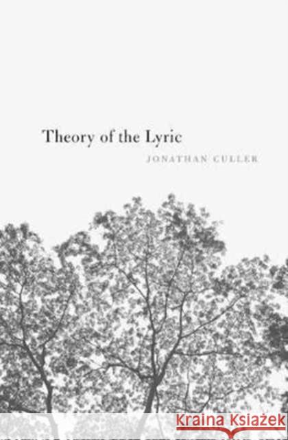 Theory of the Lyric Culler, Jonathan 9780674979703