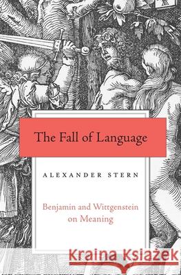 The Fall of Language: Benjamin and Wittgenstein on Meaning Alexander Stern 9780674980914 Harvard University Press