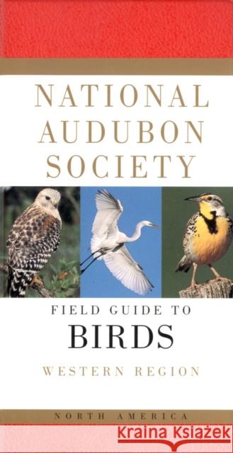 National Audubon Society Field Guide to North American Birds--W: Western Region - Revised Edition National Audubon Society 9780679428510 Alfred A. Knopf