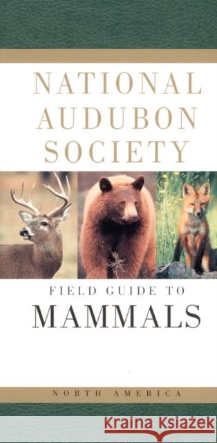 National Audubon Society Field Guide to North American Mammals National Audubon Society 9780679446316