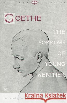 The Sorrows of Young Werther Johann Wolfgang Von Goethe Johann Wolfgang Vo LuAnn Walther 9780679729518 Vintage Books USA