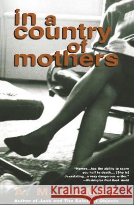 In a Country of Mothers A. M. Homes 9780679742432 Vintage Books USA