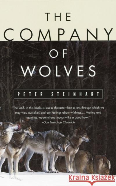 The Company of Wolves Steinhart, Peter 9780679743873