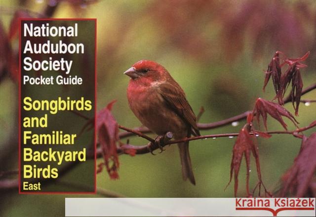 National Audubon Society Pocket Guide to Songbirds and Familiar Backyard Birds: Eastern Region: East Wayne R. Petersen Richard K. Walton National Audubon Society 9780679749264 Alfred A. Knopf