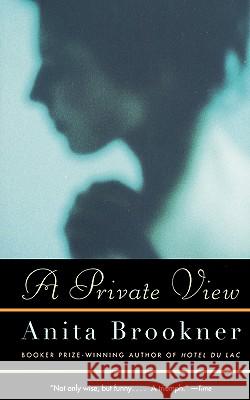 A Private View Anita Brookner 9780679754435 Vintage Books USA