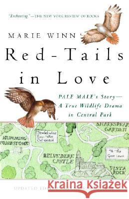 Red-Tails in Love: Pale Male's Story--A True Wildlife Drama in Central Park Marie Winn 9780679758464