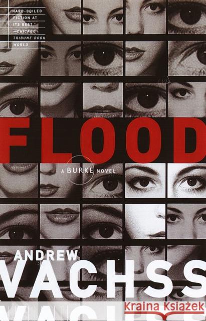 Flood Andrew H. Vachss 9780679781295 Vintage Books USA