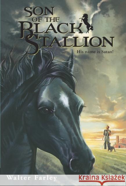 Son of the Black Stallion Farley, Walter 9780679813453 Random House Books for Young Readers