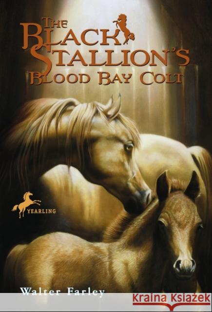 The Black Stallion's Blood Bay Colt: (Reissue) Walter Farley William Farley 9780679813477