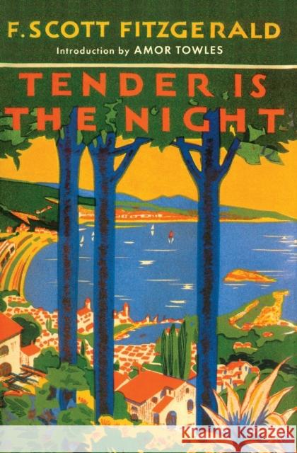Tender is the Night F. Scott Fitzgerald Charles Scribner 9780684801544 Scribner Book Company