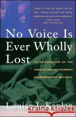 No Voice is Ever Wholly Lost Kaplan 9780684818207 Simon & Schuster