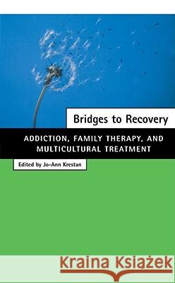 Bridges to Recovery: Addiction, Family Therapy, and Multicultural Treatment Krestan, Jo-Ann 9780684846491 Free Press