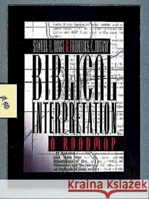 Biblical Interpretation: A Roadmap Ringe, Sharon H. 9780687016082