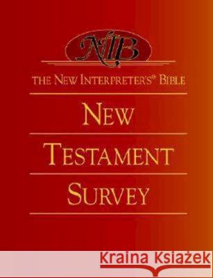 The New Interpreter's(r) Bible New Testament Survey Abington Press 9780687054343 Abingdon Press