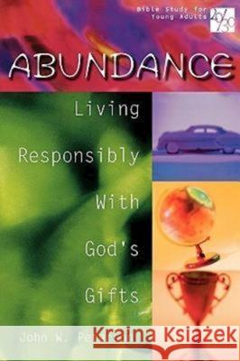 20/30 Bible Study for Young Adults: Abundance: Living Responsibly with God's Gifts Peterson, John W. 9780687091430