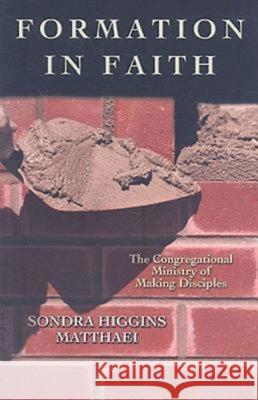 Formation in Faith: The Congregational Ministry of Making Disciples Sondra Higgins Matthaei 9780687649730 Abingdon Press