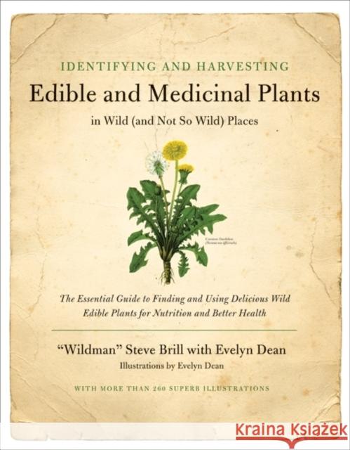 Identifying and Harvesting Edible and Medicinal Plants Steve Brill Evelyn Dean Evelyn Dean 9780688114251