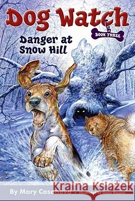 Danger at Snow Hill Mary Casanova Omar Rayyan 9780689868122