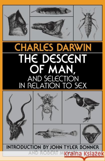 The Descent of Man, and Selection in Relation to Sex Charles Darwin John Tyler Bonner Robert M. May 9780691023694