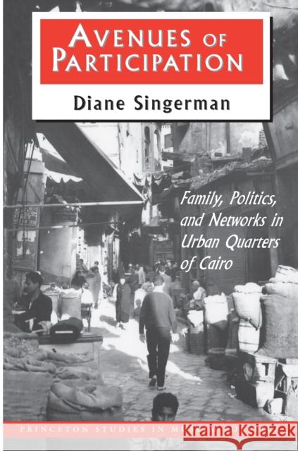 Avenues of Participation: Family, Politics, and Networks in Urban Quarters of Cairo Singerman, Diane 9780691025681 Princeton University Press