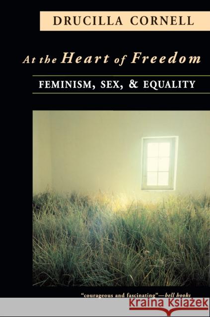 At the Heart of Freedom: Feminism, Sex, and Equality Cornell, Drucilla 9780691028965 Princeton University Press