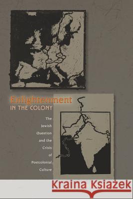 Enlightenment in the Colony: The Jewish Question and the Crisis of Postcolonial Culture Mufti, Aamir R. 9780691057323 Princeton University Press