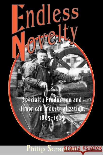 Endless Novelty: Specialty Production and American Industrialization, 1865-1925 Scranton, Philip 9780691070186