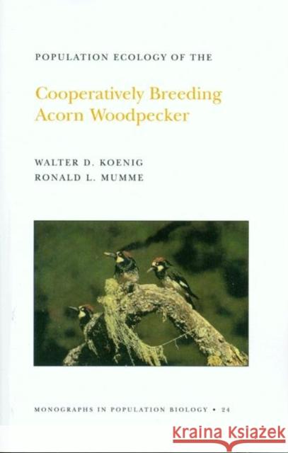 Population Ecology of the Cooperatively Breeding Acorn Woodpecker. (Mpb-24), Volume 24 Koenig, Walter D. 9780691084640 Princeton Book Company Publishers