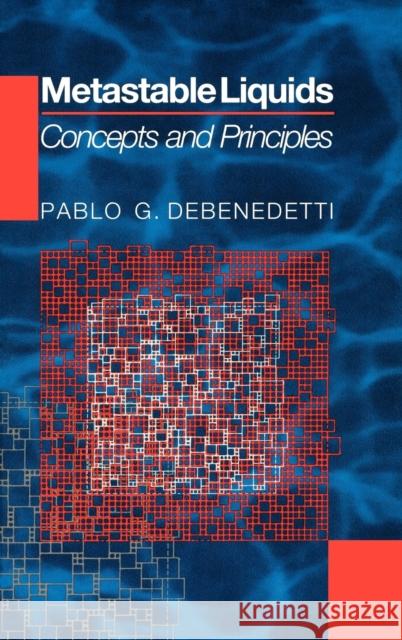 Metastable Liquids: Concepts and Principles DeBenedetti, Pablo G. 9780691085951