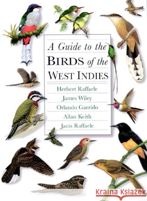 A Guide to the Birds of the West Indies Herbert A. Raffaele James W. Wiley Orlando H. Garrido 9780691087368 Princeton University Press