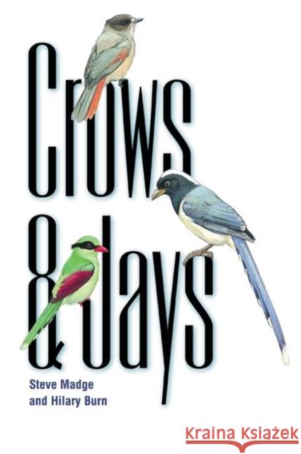 Crows and Jays Steve Madge Hilary Burn 9780691088839 Princeton University Press