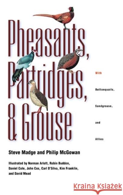 Pheasants, Partridges, and Grouse: A Guide to the Pheasants, Partridges, Quails, Grouse, Guineafowl, Buttonquails, and Sandgrouse of the World Madge, Steve 9780691089089 Princeton University Press