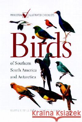 Birds of Southern South America and Antarctica Martin Rodolfo De La Pena Maurice Rumboll Gustavo Carrizo 9780691090351 Princeton University Press