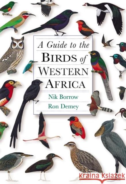 A Guide to the Birds of Western Africa Nik Borrow Ron Demey 9780691095202 Princeton University Press