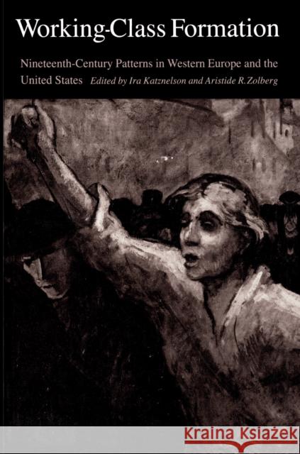 Working-Class Formation: Ninteenth-Century Patterns in Western Europe and the United States Katznelson, Ira 9780691102078 Princeton University Press
