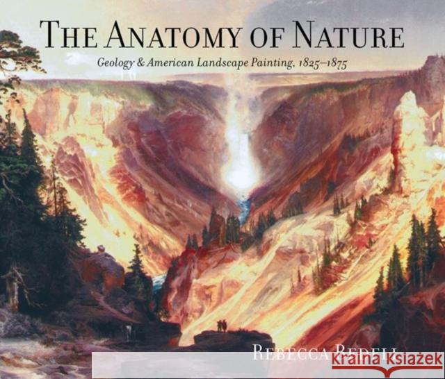 The Anatomy of Nature: Geology & American Landscape Painting, 1825-1875 Bedell, Rebecca 9780691102917 PRINCETON UNIVERSITY PRESS