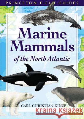 Marine Mammals of the North Atlantic Carl Christian Kinze Birgitte Rubaek Birgitte Rubeak 9780691113081 Princeton University Press