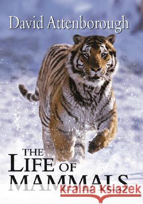 The Life of Mammals David Attenborough 9780691113241 Princeton University Press