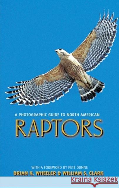 A Photographic Guide to North American Raptors Brian K. Wheeler William S. Clark Princeton University Press 9780691116440 Princeton University Press