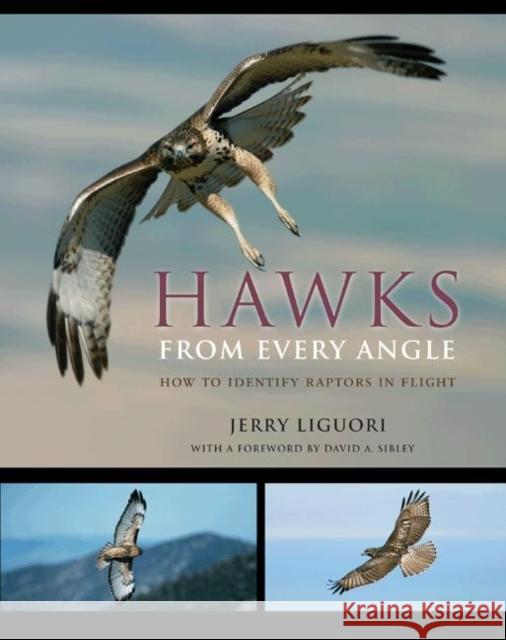 Hawks from Every Angle: How to Identify Raptors in Flight Liguori, Jerry 9780691118253