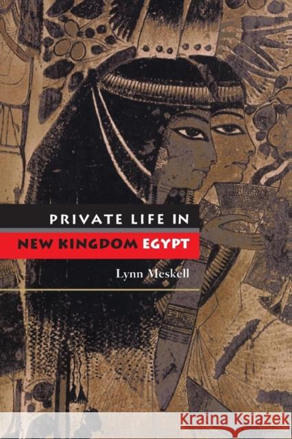 Private Life in New Kingdom Egypt Lynn Meskell 9780691120584