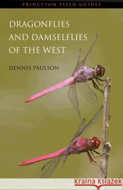 Dragonflies and Damselflies of the West Dennis R. Paulson 9780691122816 Princeton University Press