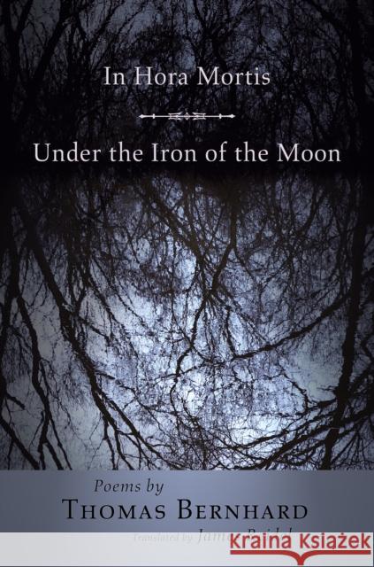 In Hora Mortis / Under the Iron of the Moon: Poems Bernhard, Thomas 9780691126425 Princeton University Press