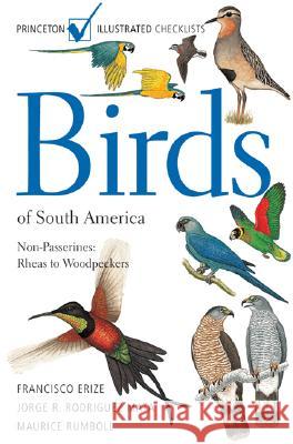 Birds of South America: Non-Passerines: Rheas to Woodpeckers Jorge R. Rodrigue Francisco Erize Maurice Rumboll 9780691126883 Princeton University Press